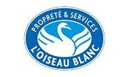 oiseau blanc